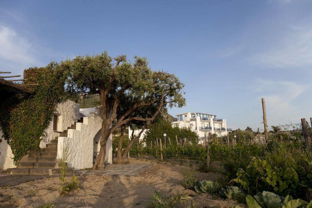 猎豹温泉美容酒店 Forio di Ischia 外观 照片